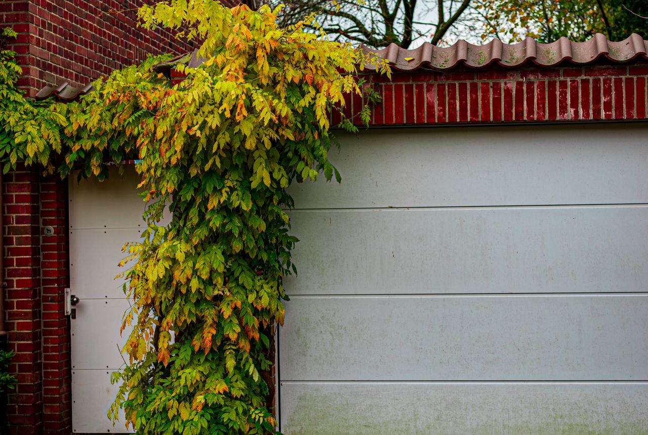 Garage door service in Redmond, WA